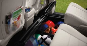 2019 Dodge Grand Caravan in Manning, SC