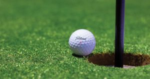 Golf spots in Manning, SC