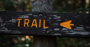 Great hiking trails in Manning, SC